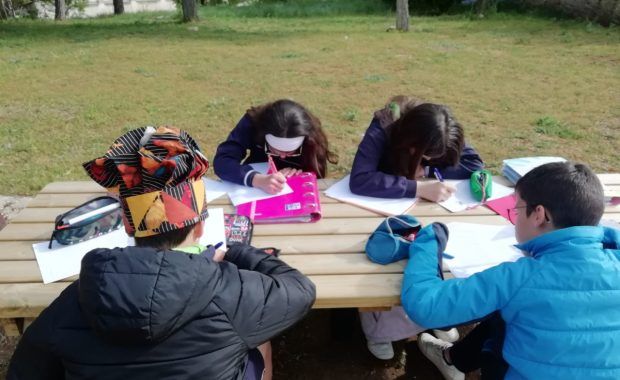 Un paseo por primaria