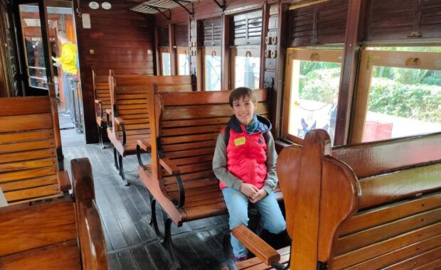 Viaje en el Tren de la Fresa